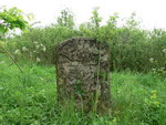 Macewa na cmentarzu ydowskim w Birczy