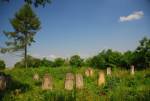 cmentarz ydowskim w Bodzentynie