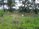 cmentarz ydowski w Byczynie - Biskupicach