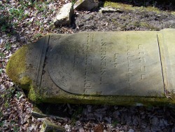 Nagrobek na cmentarzu ydowski w Dzierzgoniu Tombstone in Jewish cemetery in Dzierzgon Christburg