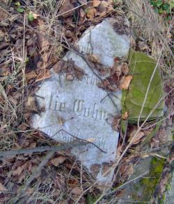 Nagrobek na cmentarzu ydowski w Dzierzgoniu Tombstone in Jewish cemetery in Dzierzgon Christburg