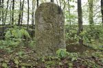 Macewa z amonitem na cmentarzu ydowskim w Zawierciu-Kromoowie