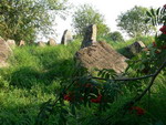 cmentarz ydowski - Krynki