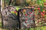 Macewa na cmentarzu ydowskim w Lutowiskach
