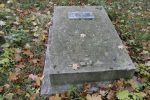 Nagrobek na cmentarzu ydowskim w Mylenicach