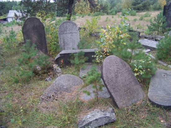 Olkusz - nowy cmentarz ydowski