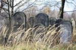 nagrobek na cmentarzu ydowskim w Pyskowicach