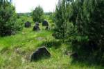 Rana na Biaorusi - cmentarz ydowski