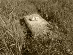 Sejny - groby na cmentarzu ydowskim