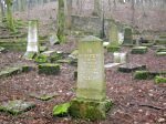 Cmentarz ydowski w widwinie Jewish cemetery in Swidwin Judischer Friedhof Schivelbein