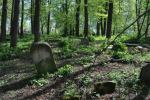 Zambrw - cmentarz ydowski